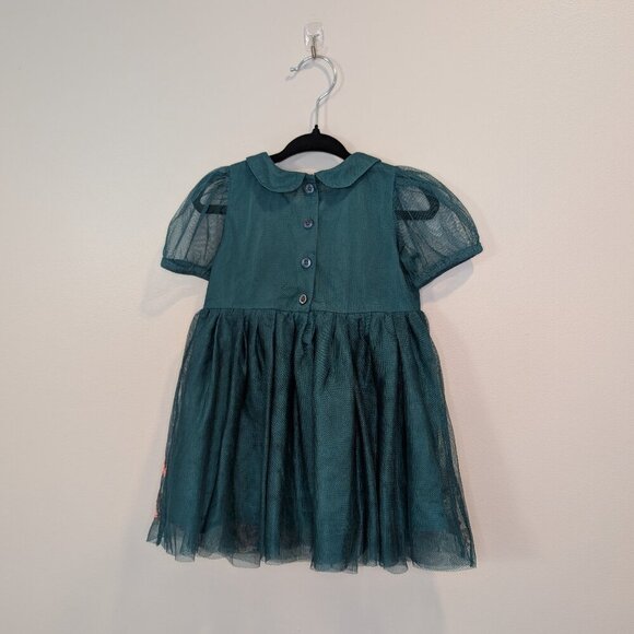 2/$40 🧡 Next Baby Embroidered Tulle Dress | Floral - Picture 2 of 6